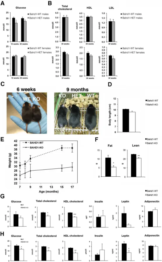 Fig 1. Bahd1 -knockout mice display decreased weight and fat mass and lower cholesterol, glucose and leptin levels