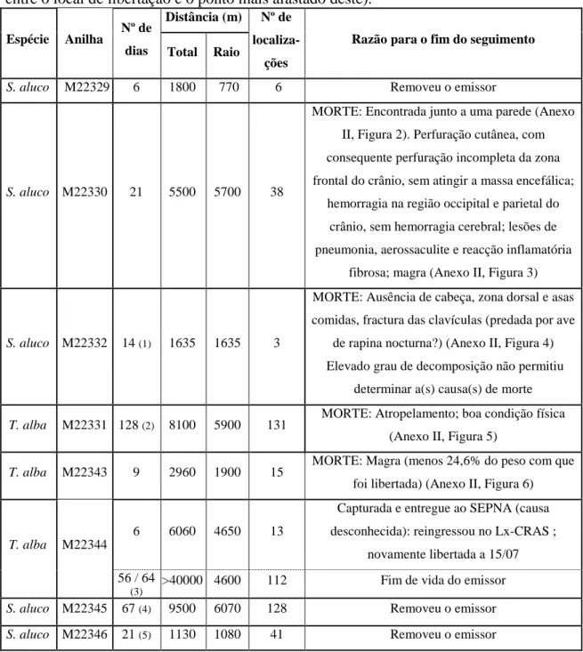 Tabela 3: Resultados do seguimento das aves libertadas (“Raio” corresponde à distância  entre o local de libertação e o ponto mais afastado deste)
