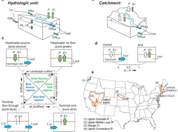 Figure 1. (a) Hydrologic unit, and (b) catchment, showing land–atmosphere (or green) fluxes (precipitation, evapotranspiration; P , E T ) and landscape (or blue) fluxes (groundwater + surface-water flows; L in , L out ) at boundaries