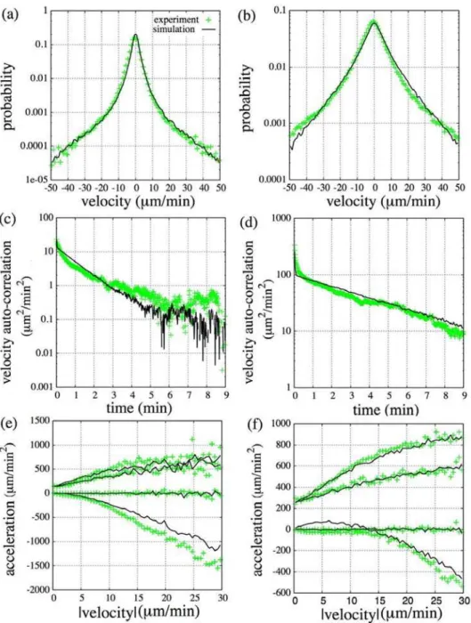 Figure 4. Simulation results corresponding to vegetative and starved cells. Simulated velocity distribution ((a),(b)), velocity autocorrelation ((c),(d)) and dependence of mean and standard deviation of acceleration on velocity in parallel and perpendicula