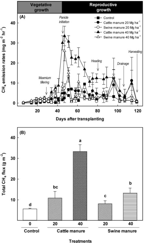 Fig. 1. Changes in CH 4 flux with time (A) and total CH 4 fluxes (B) under different manure application during rice cultivation
