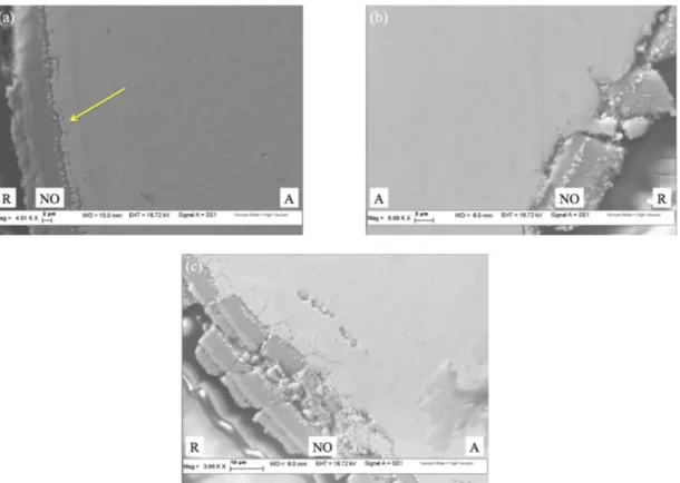 Figure 5: SEM micrographs of the PE/wire interfaces before the strain recovery tests: (a) NT, (b) A and (c) AB samples, respectively