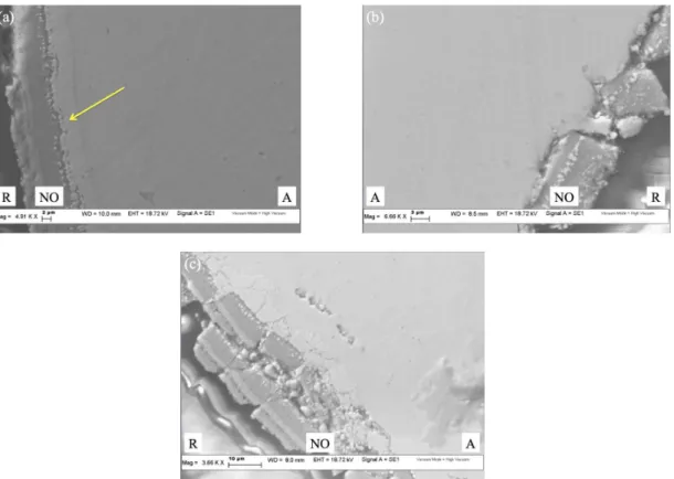 Figure 5: SEM micrographs of the PE/wire interfaces before the strain recovery tests: (a) NT, (b) A and (c) AB samples, respectively