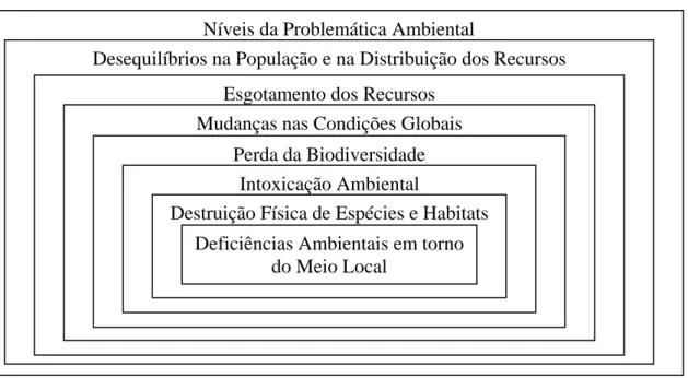 Figura 1 - Problemática Ambiental  Níveis da Problemática Ambiental 