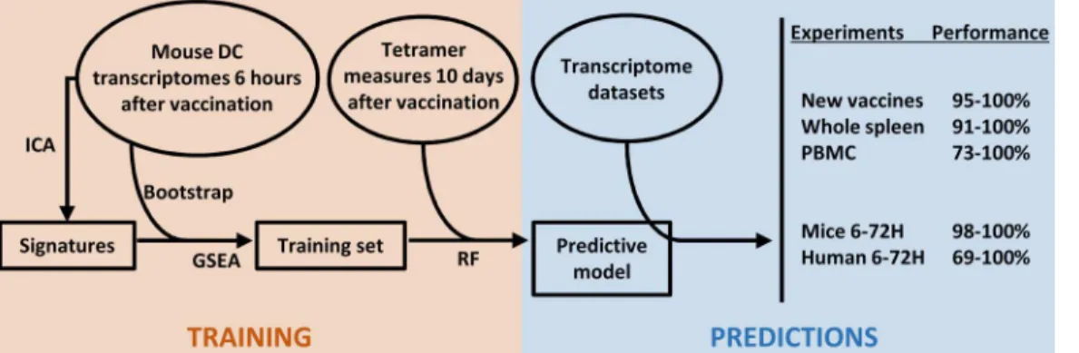 Fig 6. Strategy followed in this study for a high-performance predictive model of transcriptome datasets obtained from new vector platforms, cells from whole organs (spleen, blood)
