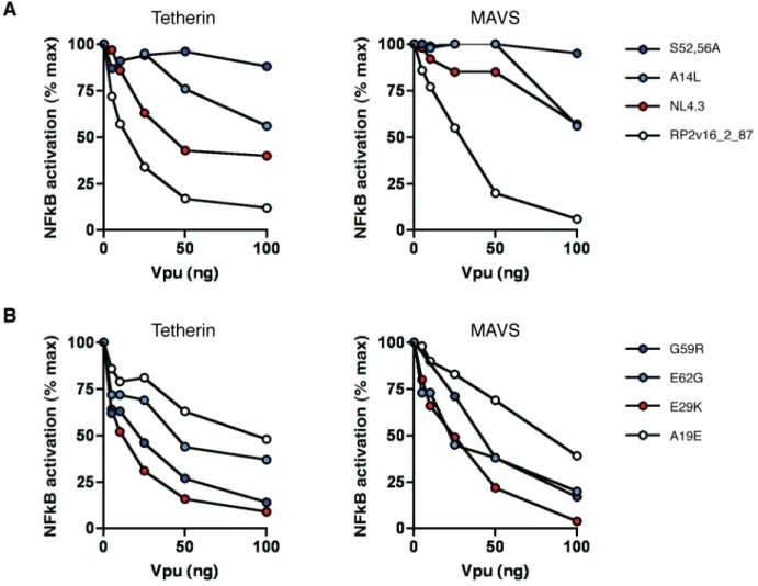 Figure 8. Ability of Vpu to suppress NF-kB activation. (A) NL4.3 Vpu, NL4.3 A14L and S52,56A mutants, and the highly active patient-derived Vpu RP2v16_2_87 were tested at a range of concentrations for their ability to counteract tetherin-mediated NF-kB act