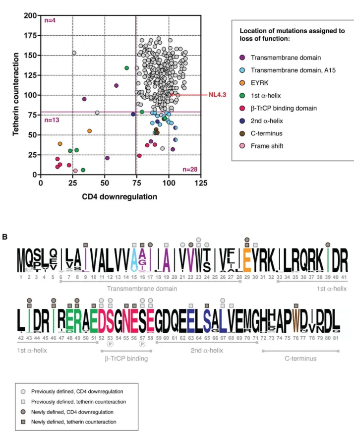 Figure 4. Structure-function analysis of sub-optimal and non-functional Vpus. (A) Functional profiles for the 304 tested Vpus, shown as tetherin counteraction vs CD4 downregulation, with both functions measured as a percent of NL4.3 Vpu activity (100%, ind