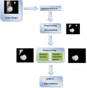 Fig 2: Flowchart of the methodology . 