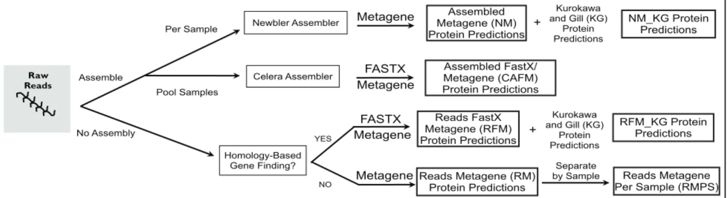 Figure 1. Creation of protein sequence databases. Protein sequence databases were created from metagenomic sequence reads using a variety of methods for assembly and gene finding.