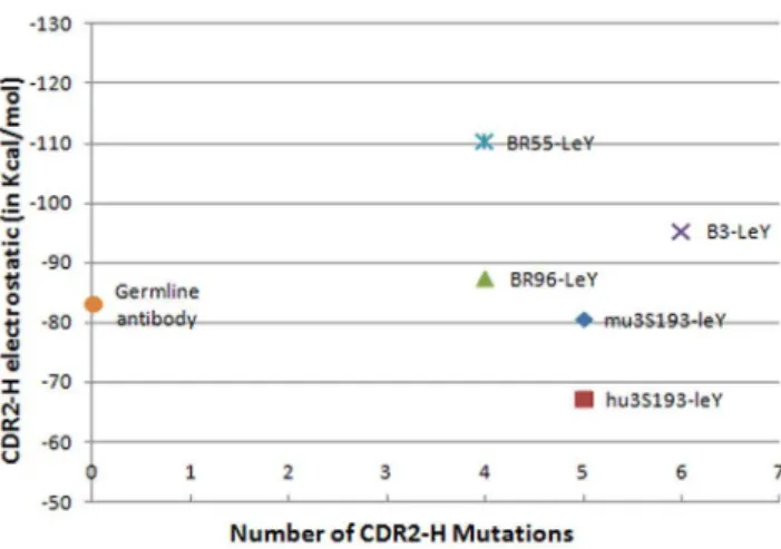 Figure 4. RMS fluctuations of the germline and mature antibody-LeY complexes. The RMS fluctuations are calculated after superimposing the backbone atoms of each conformer (as generated from the MD production run) against the average structure.