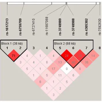 Figure 3. r 2 value for 8 single nucleotide polymorphisms (SNPs). r 2 value between the marker pairs is indicated by the shaded matrices