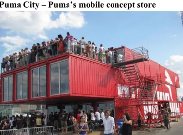 Figure 1 - Puma City, Outside 
