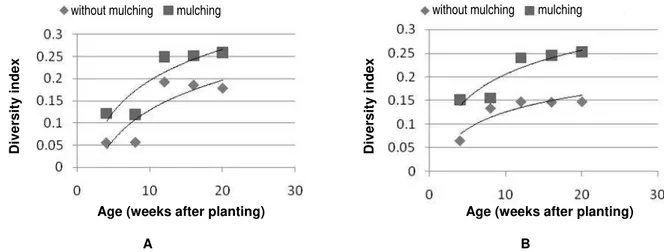 Figure  1.  Surface  (A)  and  deep  (B)  soil macroinvertebrate  diversity  index  in sengon-based  agroforestry  system  with  and without mulching application.