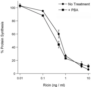 Figure 4. POPC/POPG destabilizes RTA in either the absence or presence of PBA. (A–B): The temperature-induced unfolding of RTA secondary structure in the presence of POPC/POPG (4:1 molar ratio) vesicles (A) or in the presence of both POPC/POPG vesicles and