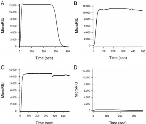 Table 1). This T m was similar to the T m obtained from untreated RTA, but it was also 16.1 u C higher than the T m obtained for POPC/POPG-treated toxin (Table 1)