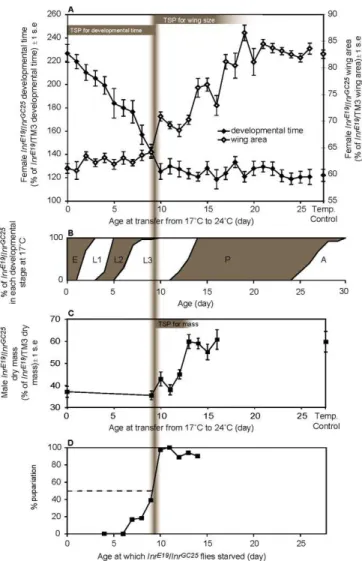 Figure 3. Suppression of Inr Expression in Inr E19 /Inr GC25 Flies Affects Developmental Time and Adult Size