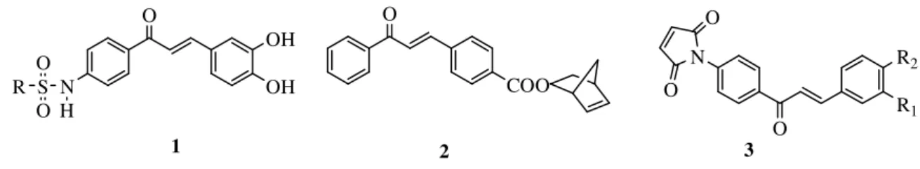 Figure 1. Synthesis of the chalcone derivatives (10a-i), containing                                                         4,7-ethanoisoindole-1,3-dione unit