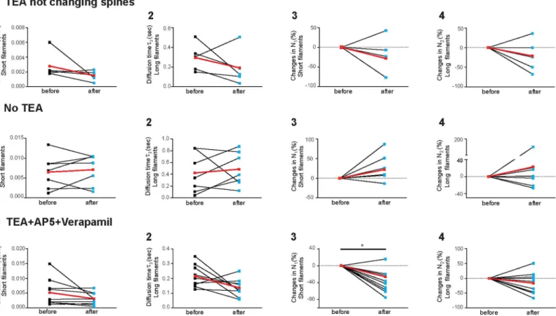 Fig 3. Actin dynamics within single dendritic spine under different conditions. A. Actin dynamics within the sub-set of dendritic spine that did not display a morphological change upon TEA treatment (n = 5)