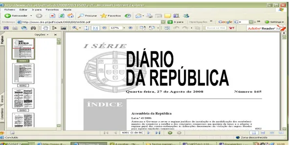 Figura 9a: O índice do Diário da República Electrónico (1.º ecrã) 