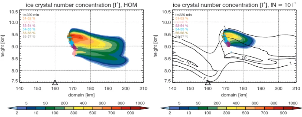 Fig. 6. Ice crystal number concentration for simulation HOM (left) and 10IN (right) for t = 220 min