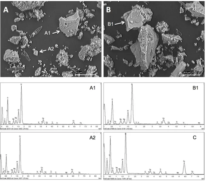 Figure 5. Selected SEM microphotographs showing the presence of volcanic shards in Ca-rich layers of sediments of the core LIM03/1 of Limnopolar Lake, and EDS analyses of their composition