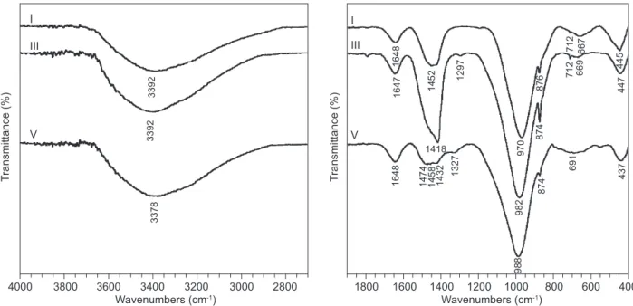 Figure 6.  Mid-IR spectra of mixtures I, III and V after 28 days of hydration.