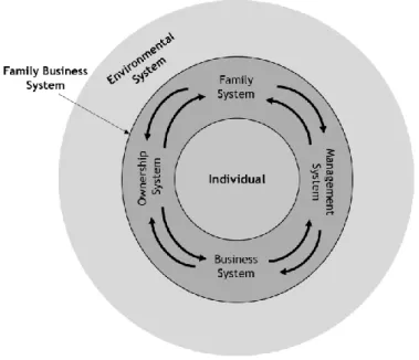 Figura 2.5 - The Bulleye – Three-Dimensional Open-System Approach  Fonte : Pieper e Klein (2007:309) 