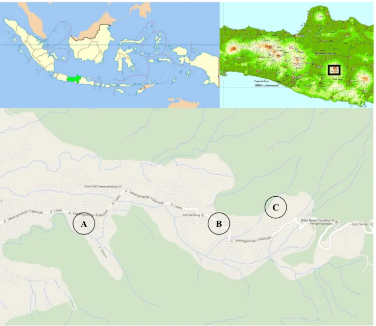 Figure 1. Research  location of  carica  (V.  pubescens)  transplantation  in  Mount  Lawu  slope