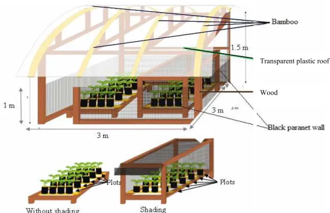 Figure 2. The layout of the experiment green house