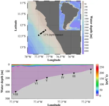 Figure 1. Study area, sampling stations, and O 2 concentration in µM along the 12 ◦ S transect.