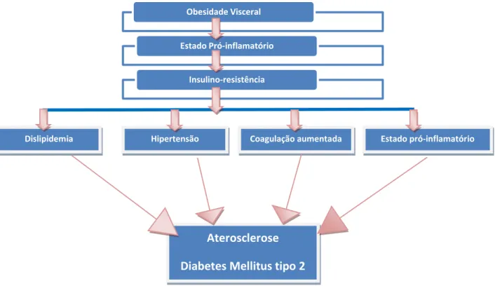 Figura 14 – O papel da obesidade visceral na síndrome metabólica: representação esquemática