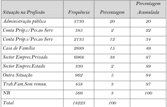 Tabela 2.5: Amostra disponível na base de dados a nível da situação na profissão no ano 2006
