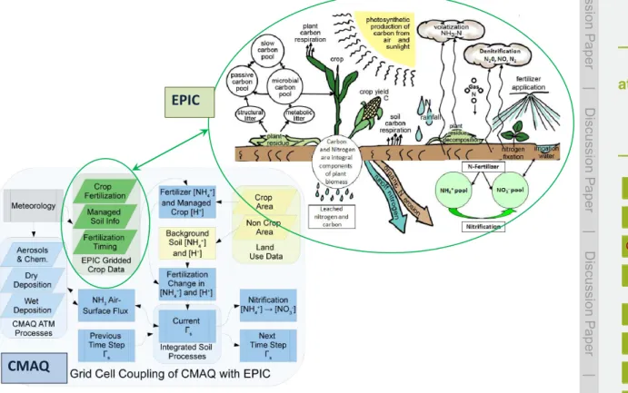 Fig. 8. Example of coupled CTM (CMAQ) and crop (EPIC) models for NH 3 exchange, modified from Cooter et al., 2012