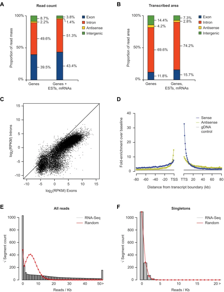 Figure 1. rRNA-depleted RNA-Seq analysis of HEK-293T cells. (A) Proportion of reads with a unique match to known genes (left), or known genes supplemented with mRNAs and spliced ESTs (right)