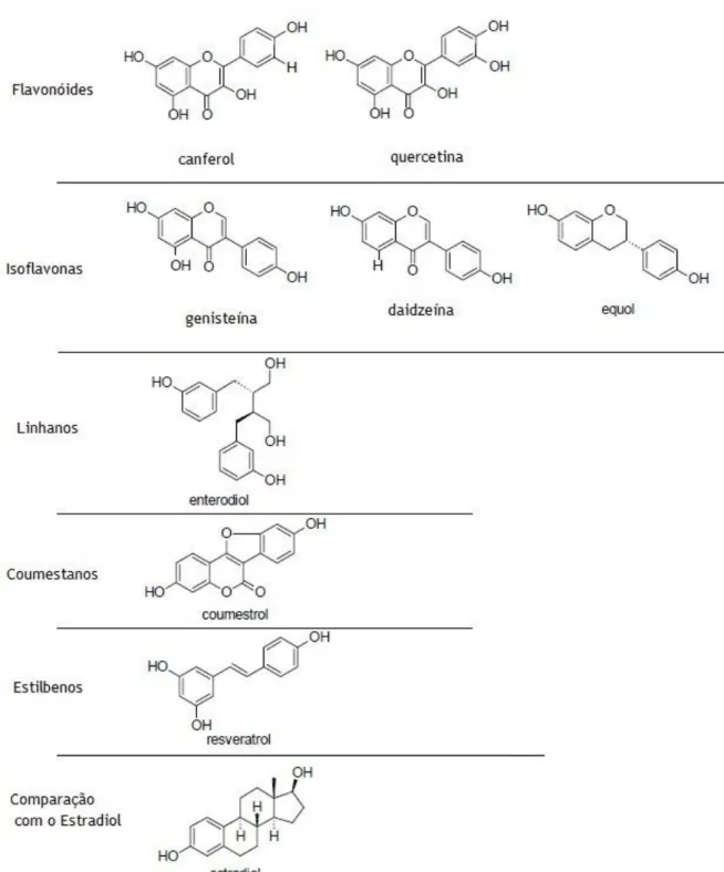 Figura 1 – Diferentes famílias de fitoestrogénios e comparação com o estradiol (Adaptado de Zhao et al.,  2011).