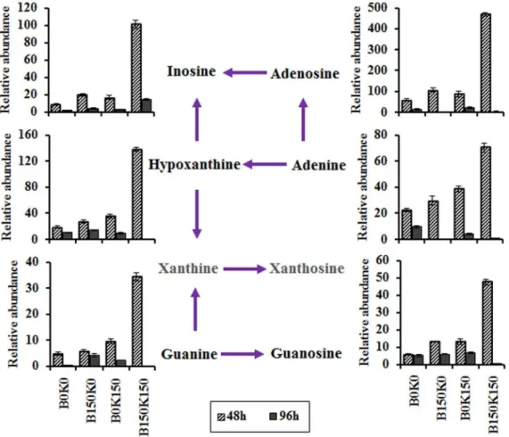 Figure 4. Changes of intracellular metabolites in purines and nucleosides biosynthetic pathway in the consortium