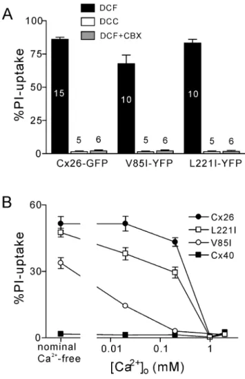 Figure 3. The effect of external Ca 2+ concentration on PI- PI-uptake. (A) Comparison of PI-uptake for divalent cation containing (DCC) and divalent cation-free (DCF) conditions
