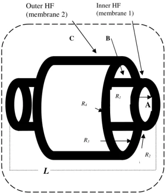 Fig. 1 - Functional element of FIF bioreactor. For  clarity, the figure is not drawn to scale
