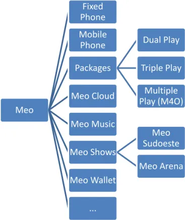 Figure 1 – Main Products of Meo 