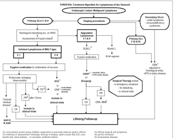 Abbildung 2: Aktueller Algorithmus der Behandlung von malignen Magenlymphomen (© Springer-Verlag Heidelberg, Nachdruck mit Genehmigung aus: Dragosics B