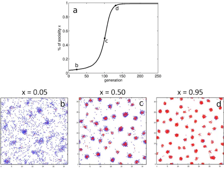 Figure 3. Evolutionary dynamics of the social trait and population structure. Panel a: S mutants, initially in small frequency, are favored as they derive more net benefits from groups on average than A particles, and ultimately invade the population