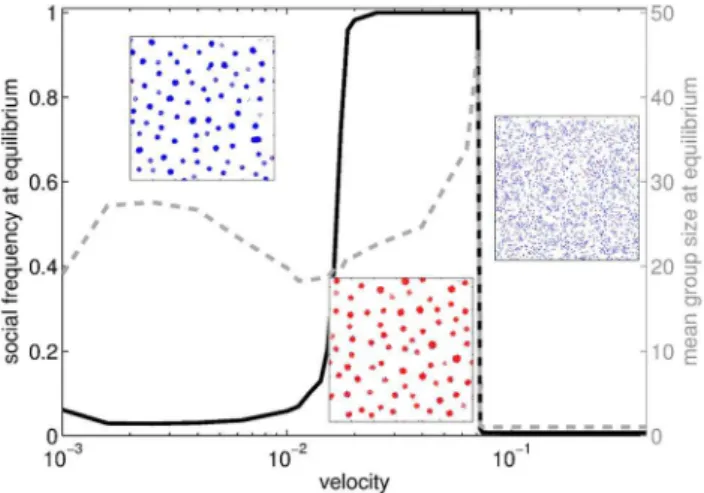 Figure 4. Evolutionary endpoints and mean group size at equilibrium when the noise parameter g varies