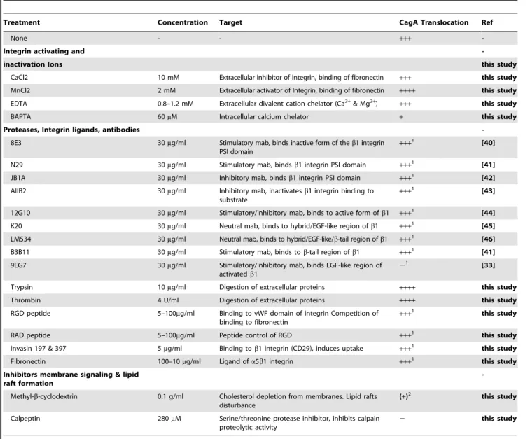 Table 1. Ligands or inhibitors of integrin signalling and their effect on CagA translocation.