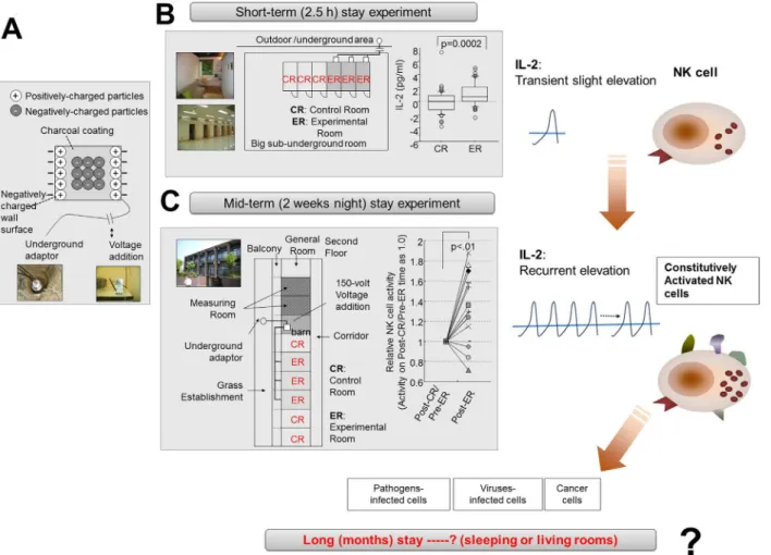 Fig 1. Schematic summary of previous experiments and development of negatively charged-particle dominant indoor air-conditions (NCPDIAC).