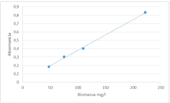 Figura 4.1 - Reta de calibração de biomassa. 