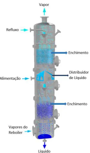 Figura 2.2 - Esquema de uma coluna de enchimento [56]. 