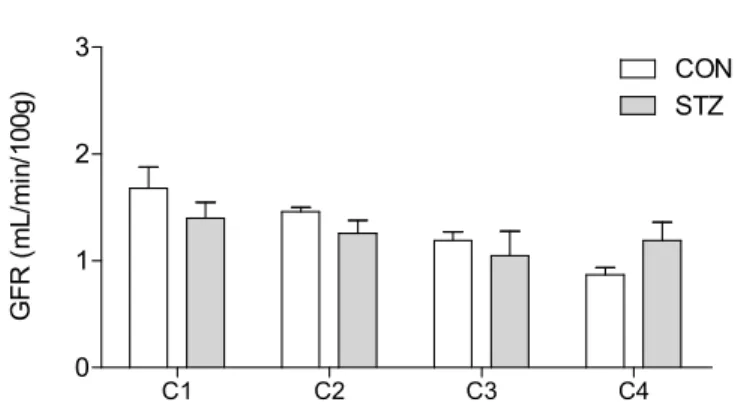 Figura 7: Taxa  de  filtração glomerular (GFR,  mL/min/100g), em ratos diabéticos, 7  dias  após  a  indução  de  diabetes  e  em  ratos  não  diabéticos  (CON),  nos  quatro  períodos  de  clearance (C1, C2, C3 e C4)