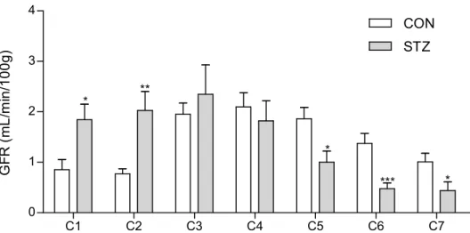 Figura 8: Taxa de filtração glomerular (GFR, mL/min/100g) em ratos diabéticos 14 dias após a indução de  diabetes (STZ) e em ratos não diabéticos (CON)