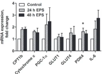 Figure 5. Effects of chronic, low-frequency EPS on markers of slow-oxidative (MHCI) and fast-glycolytic (MHCIIa) muscle fiber types.