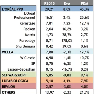 Table 3 - Market Share of Hair Professional Market Players |  Source: Internal Material of L’Oréal Portugal 